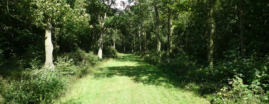 Vinaora Nivo Slider 3.x